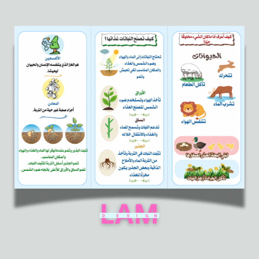 مطوية فصل النباتات