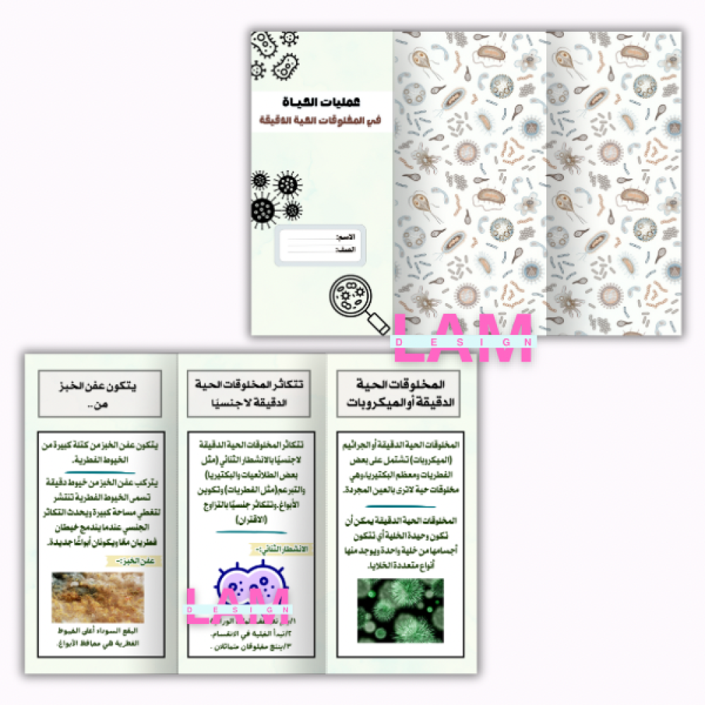 مطويات علوم سادس الترم الأول كامل