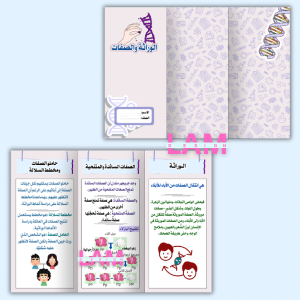 مطويات علوم سادس الترم الأول كامل