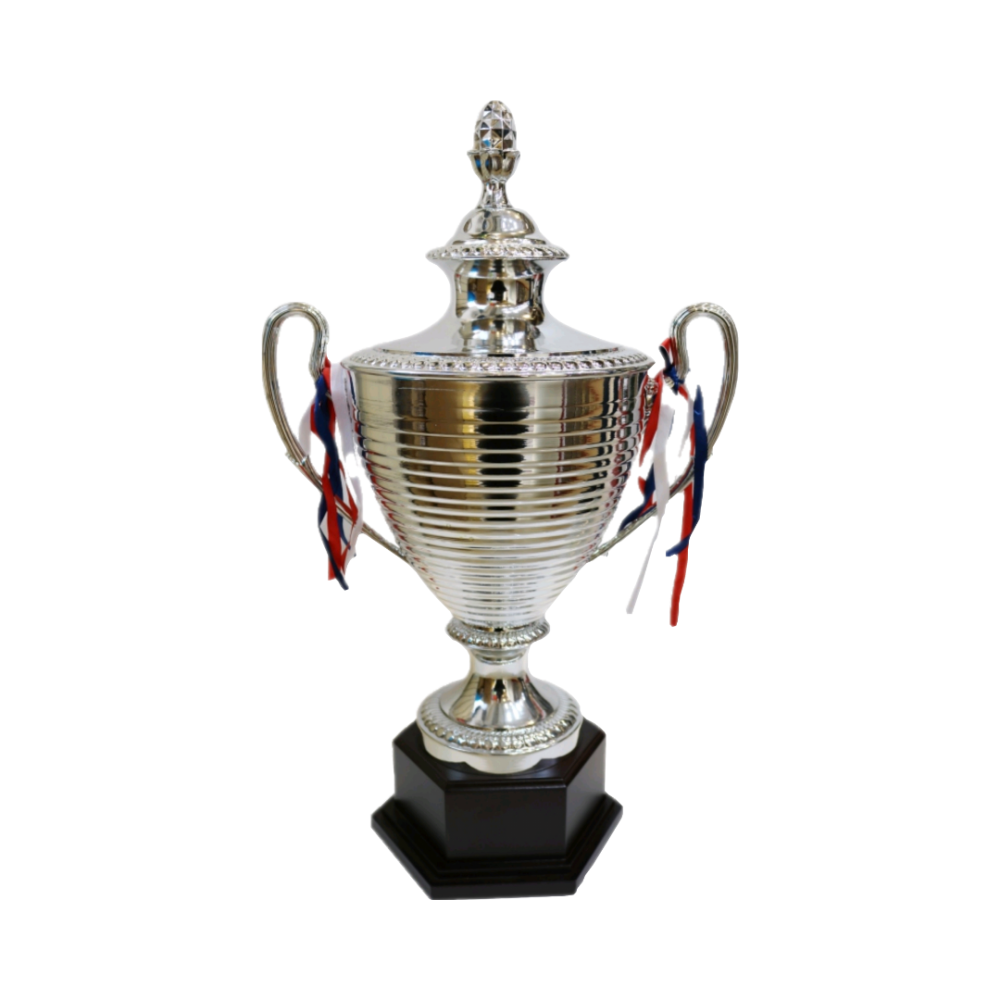 كأس مخطط كبير قاعدة خشب - ذهبي وفضي