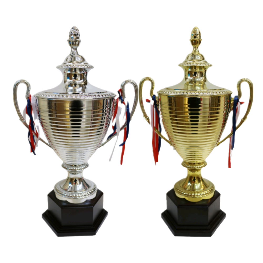 كأس مخطط كبير قاعدة خشب - ذهبي وفضي