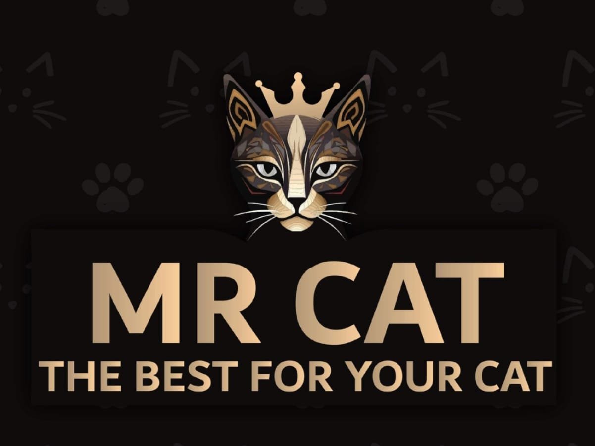 مستر كات MR CAT