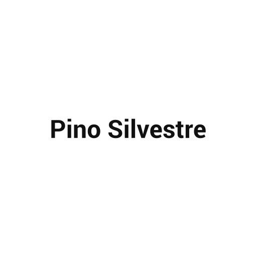 Pino Silvestre