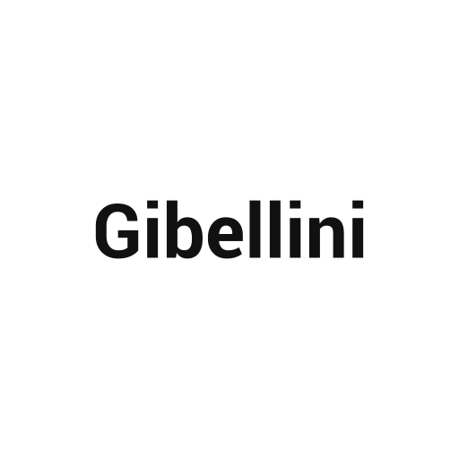Gibellini