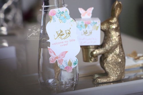 زينه مويه ثيم فراشه