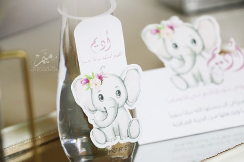 زينه مويه ثيم الفيل بنت