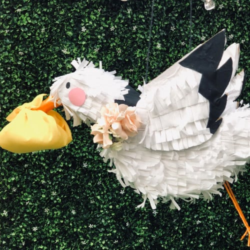 جندر رفيل بنياتا - طائر اللقلق