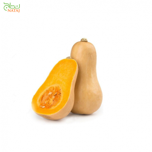 قرع امريكي حبه