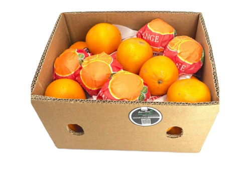 برتقال افريقي كرتون