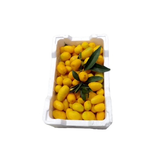 برتقال ملكي القصيم