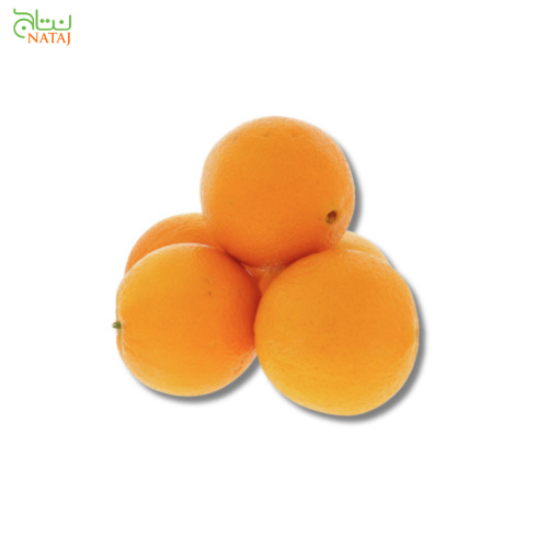 برتقال مغربي كيلو