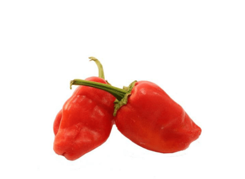 فلفل شقراء كيلو