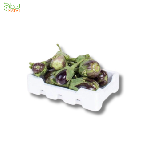 باذنجان اخضر فلين وسط