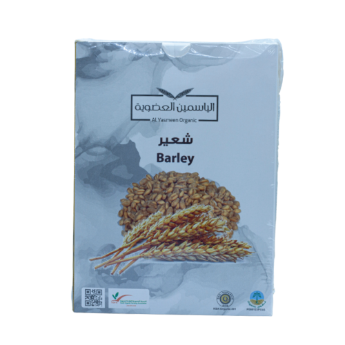 شعير الياسمين 1كيلو