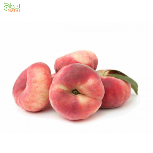 كعب الغزال علبه