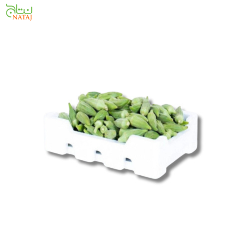 باميا فلين وسط