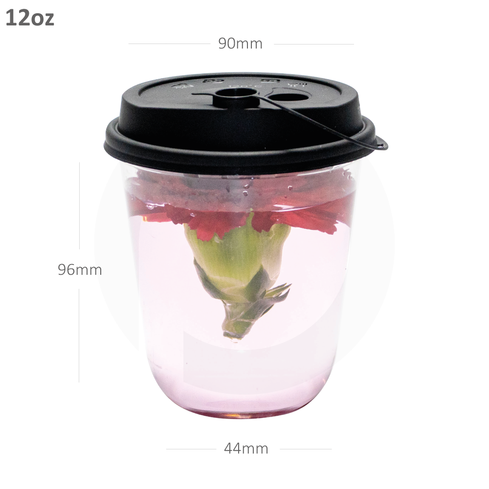 Yocup Company: Yocup 9'' x 5 x 3.5 Clear PET Plastic Hinged-Lid Take Out  Container - 1 case (250 piece)