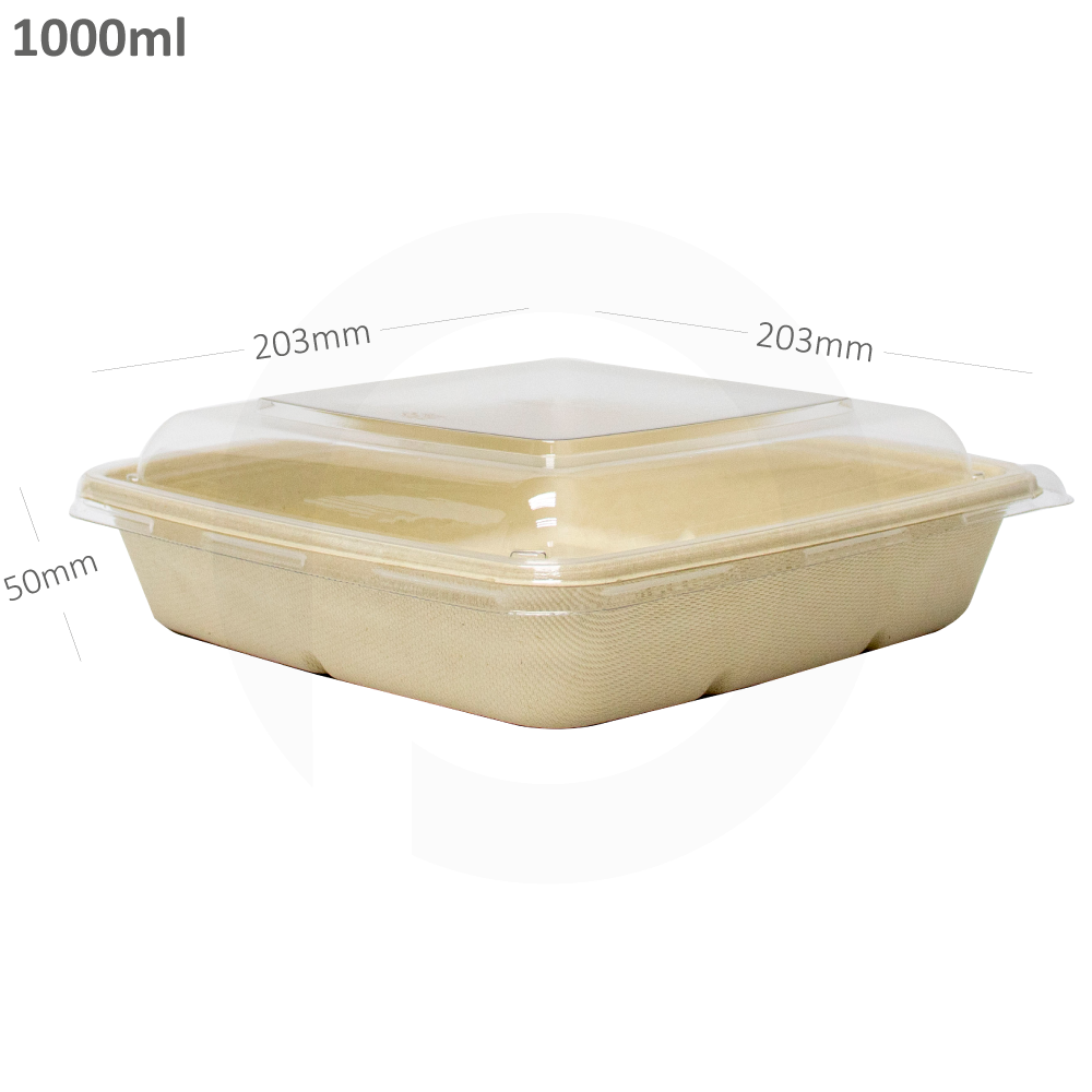 1000ml Bagasse Sugarcane Food Bowl 300 Ctn With Pet Lid Mjdpak Disposables Food Packaging