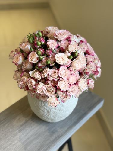فازا 20 غصن بيبي روز