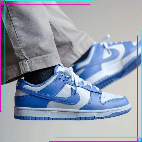 Nike Dunk Low Polar Blue