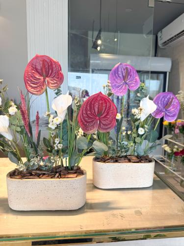 فازه ترافينتو