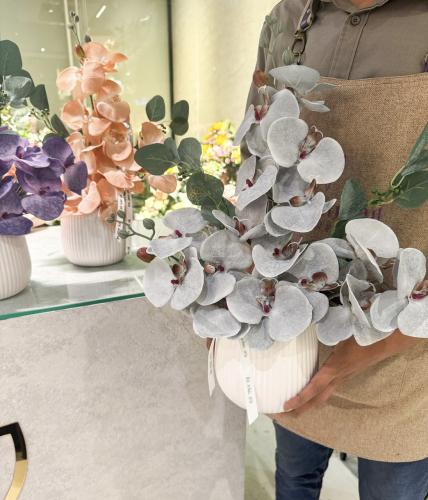 فازه عرض الصناعي