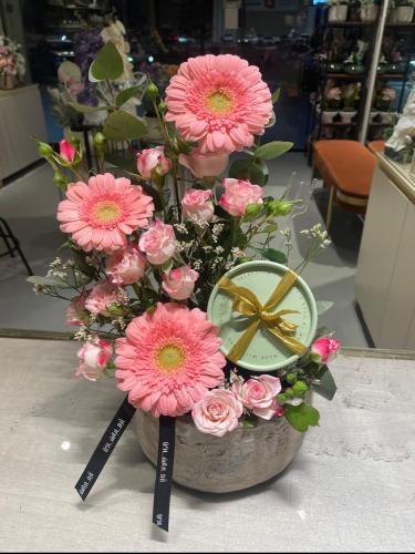 فازه الجربيرا