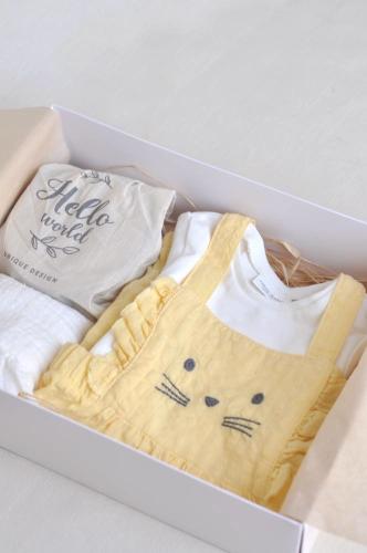 هدية مولودة نكست