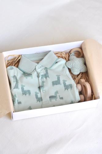 هدية مولود مذركير