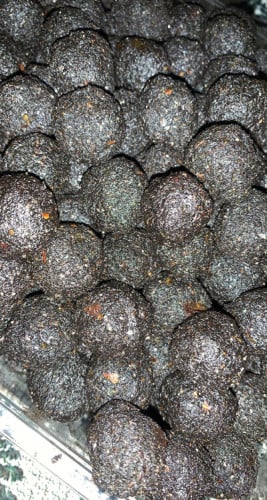 معمول دوسري ( جملة) مسقي