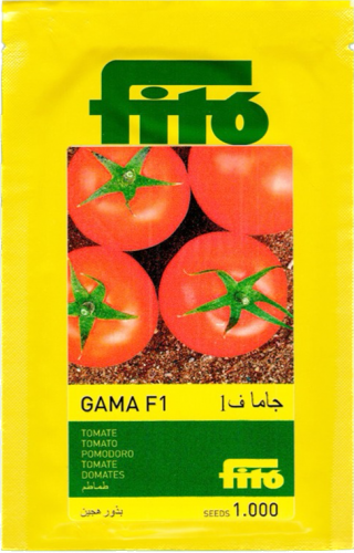 طماطم جاما F1 للبيت المحمي 1000 بذرة