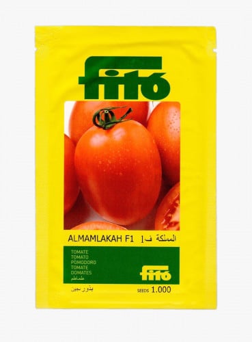 طماطم المملكة F1 ا 1000 بذرة