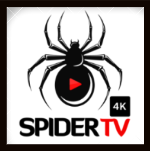 اشتراك سبايدر تي في Spider TV 4K سنة
