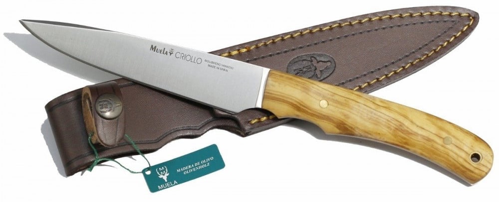 سكين نصل ثابتCRIOLLO-17OL  من شركة مويلا الاسبانية ( Muela) .