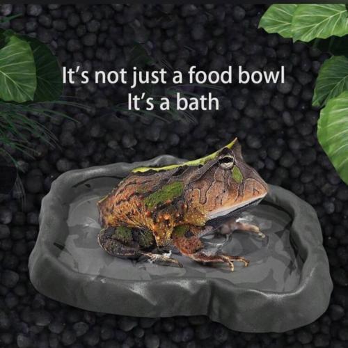 قطعة وعاء ماء/طعام على شكل صخرة رماي DA مصنوعة من مواد تشبه الزواحف، طبق استحمام للسحالي والحرباء والثعابين والأفاعي والضفادع والسلاحف، لزينة الإحياء المائية