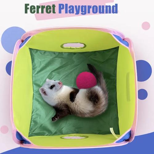 ملعب لنمس الهولندي