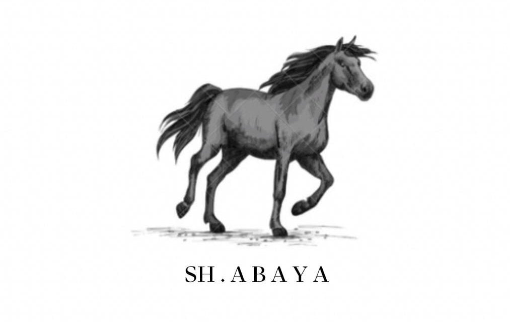 store avatar