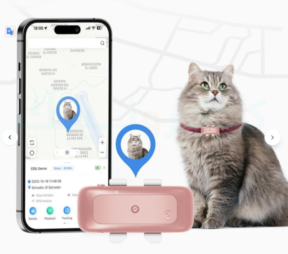 جهاز تتبع حيوانات — كيف تحافظ على أمان حيوانك الأليف بسهولة؟