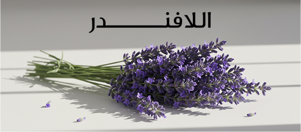 تعرف على فوائد اللافندر للصحة والجمال والاسترخاء