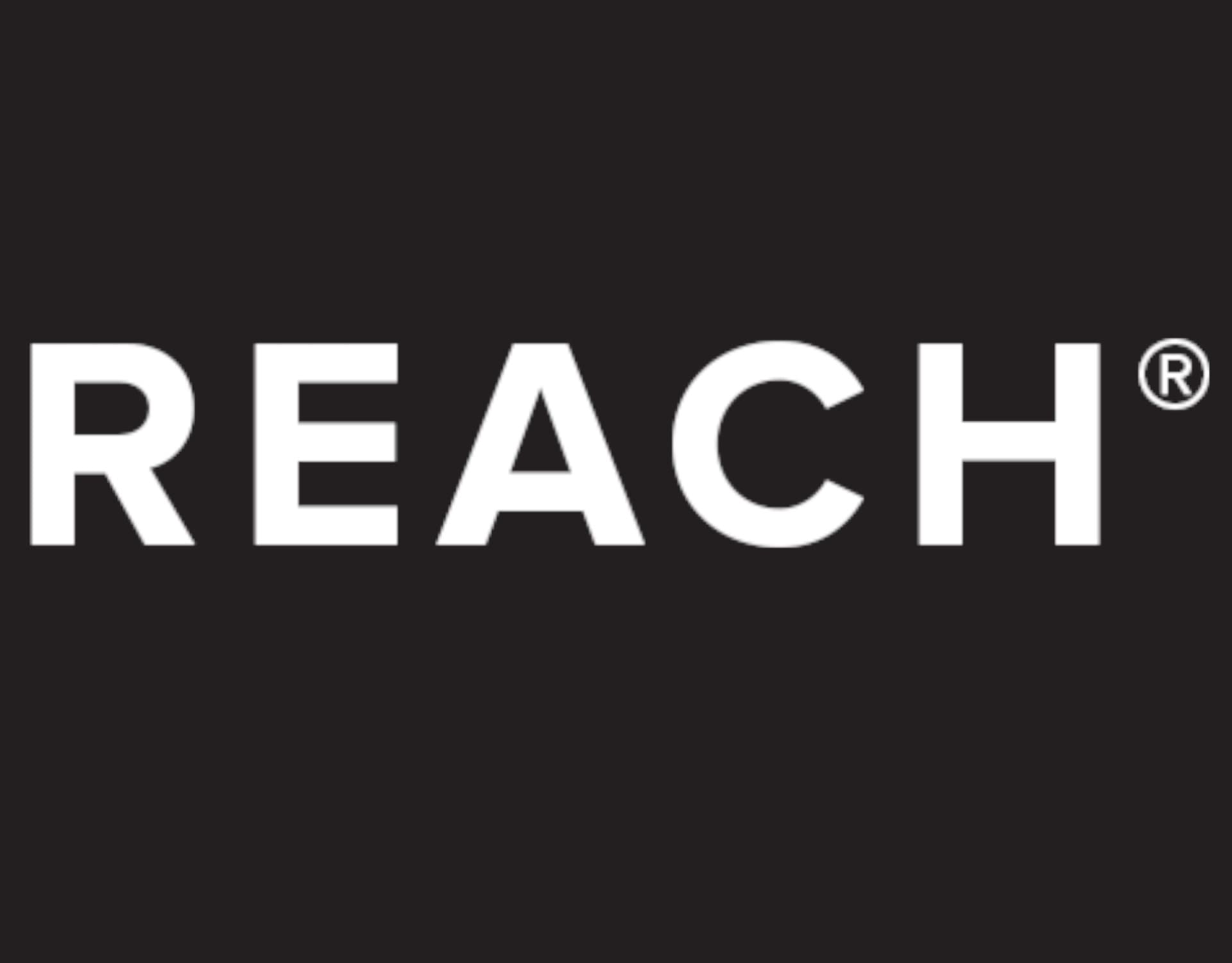 ريتش|REACH
