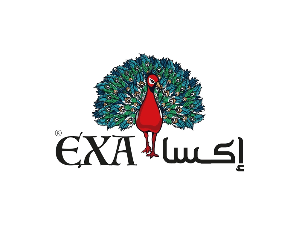 إكسا | EXA