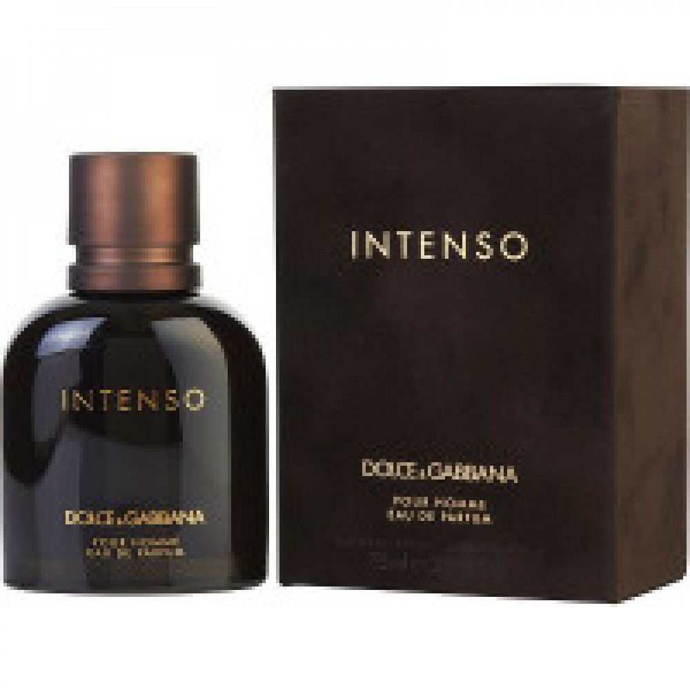 dolce gabbana intenso notes