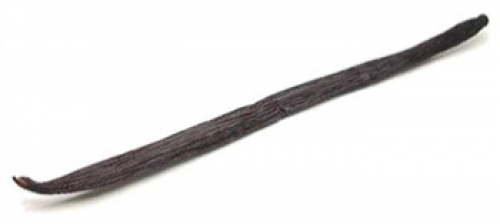 عدد ( 1 ) عود فانليا من نوع ( PLANIFOLIA VANILLA B...