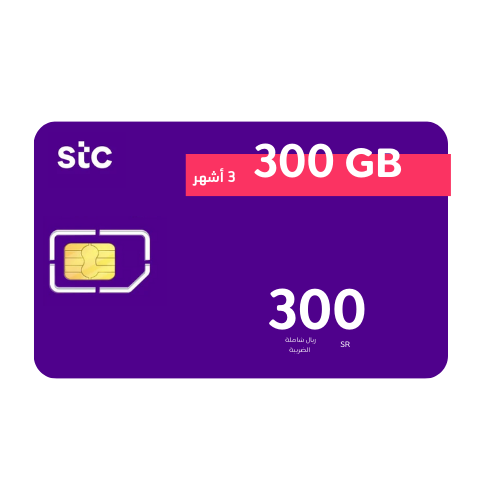 انترنت 300 جيجا 4 أشهر