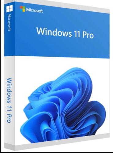 ويندوز 11 برو - Windows 11 pro