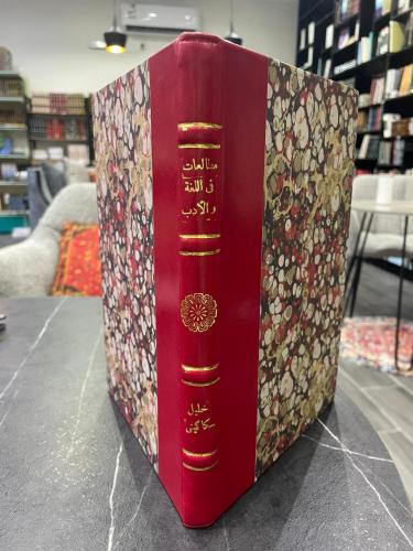 مطالعات في اللغة والأدب