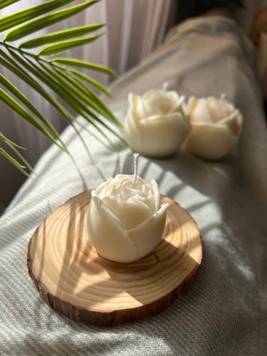 شمعة الجوري الصغيرة