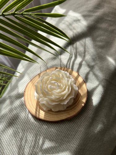 شمعة الكاميليا الكبيرة