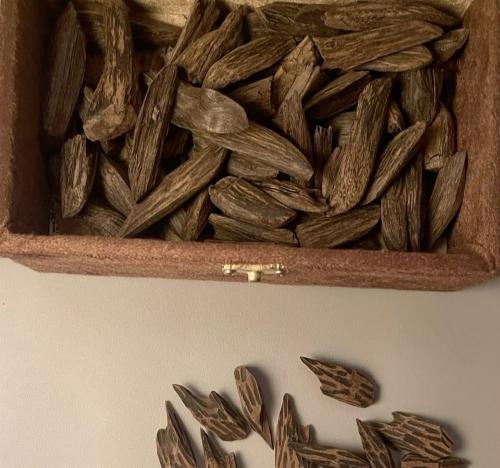 وش الفرق بين العود الكمبودي والهندي؟ وكيف تختار المناسب لك؟