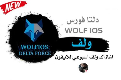 مفتاح WOLF ايفون (اسبوعي)